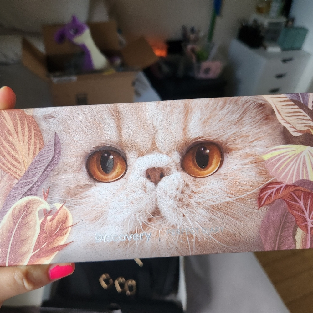 Perfect Diary Cat eyeshadow palette